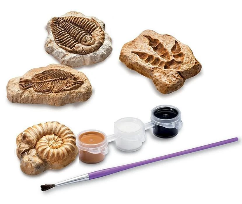 Johnco Science STEM Toys Glow Fossil Dinosaur Science Kit | 4M Kidz Lab 2 Johnco Science STEM Toys Glow Fossil Dinosaur Science Kit | 4M Kidz Lab