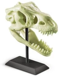 Johnco Science STEM Toys Glow Fossil Dinosaur Science Kit | 4M Kidz Lab 5 Johnco Science STEM Toys Glow Fossil Dinosaur Science Kit | 4M Kidz Lab