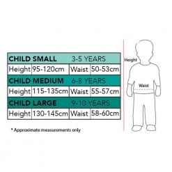 Rubies Deerfield Disney Frozen 2 Elsa Deluxe Child Costume Party