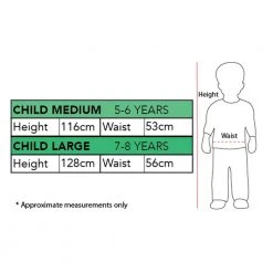 Rubies Deerfield Disney Frozen Elsa Premium Child Costume Gifts For Girls