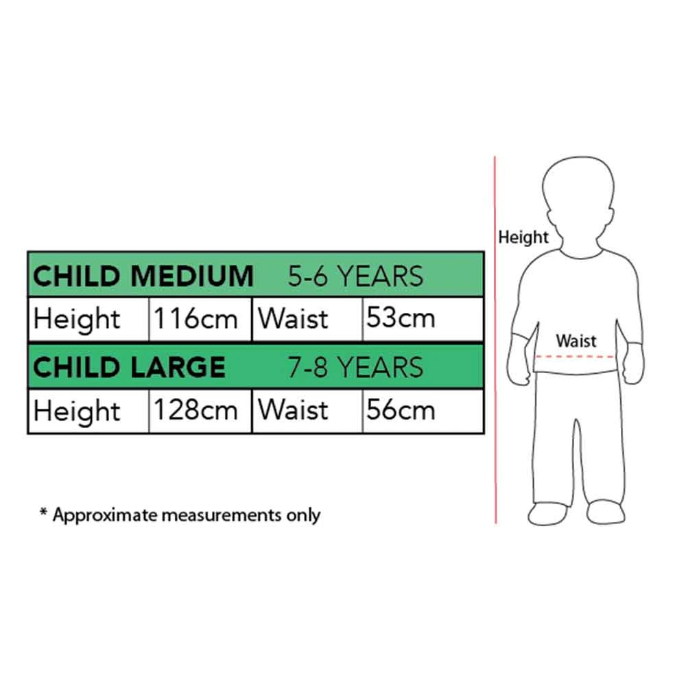 Rubies Deerfield Disney Frozen Elsa Premium Child Costume Gifts For Girls 2 Rubies Deerfield Disney Frozen Elsa Premium Child Costume Gifts For Girls