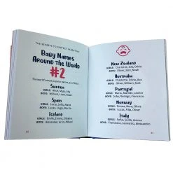 Brumby Sunstate The Little Book Of Sh#t Baby Names Gifts For BFFs