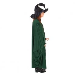 Rubies Deerfield Harry Potter Professor McGonagall Robe Adult Costume