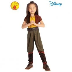 Rubies Deerfield Disney Raya Deluxe Child Costume Gifts For Girls
