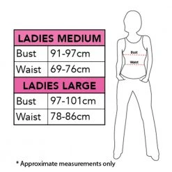 Rubies Deerfield DC Comics Wonder Woman 1984 Golden Armour Adult Costume