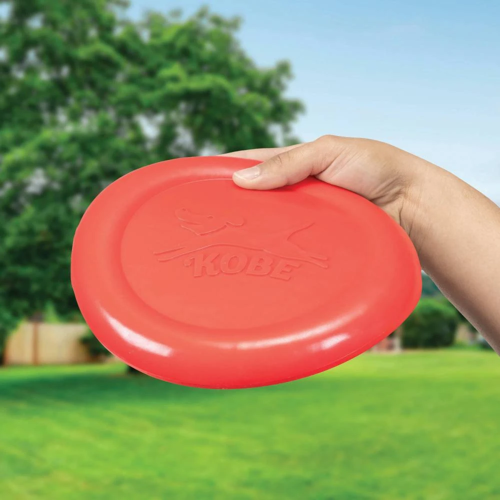 IsAlbi Bacon Scented Frisbee 1 IsAlbi Bacon Scented Frisbee