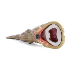 Mdi Bass Bottle Opener New 5 Mdi Bass Bottle Opener New