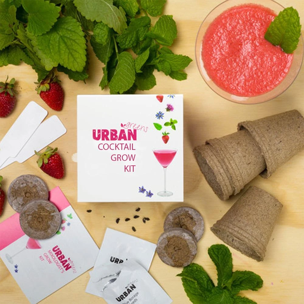 Steady Sticks Urban Greens Herb Grow Kits 8 Steady Sticks Urban Greens Herb Grow Kits