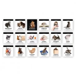 IsAlbi Daily Cattitudes | Desktop Flip Book New