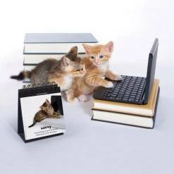 IsAlbi Daily Cattitudes | Desktop Flip Book New