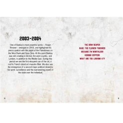 Brumby Sunstate Fun Books Desperately Seeking Banksy Book