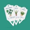 William Valentine Office Gifts Houseplant Care Tags