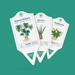 William Valentine Office Gifts Houseplant Care Tags