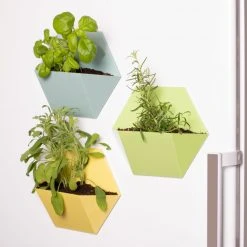 ThumbsUp! For Dad Magnetic Plant Pots For Fridge | Set Of 3