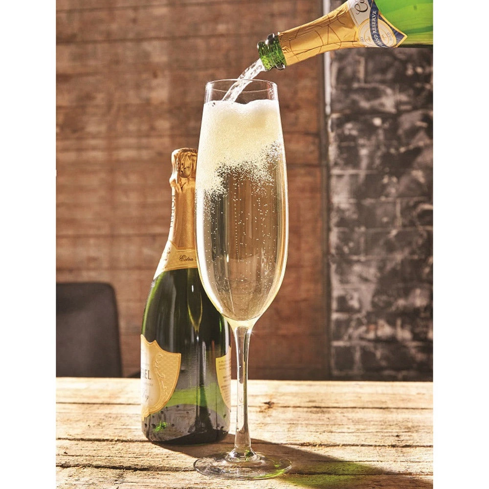 Outliving Giant Products Oversized Champagne Glass - Holds An Entire Bottle! 1 Outliving Giant Products Oversized Champagne Glass - Holds An Entire Bottle!