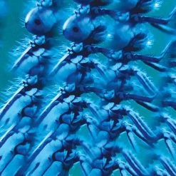 IsAlbi Novelty Gifts For Her Smartphone Clip-on Camera Kaleidoscope 20 IsAlbi Novelty Gifts For Her Smartphone Clip-on Camera Kaleidoscope