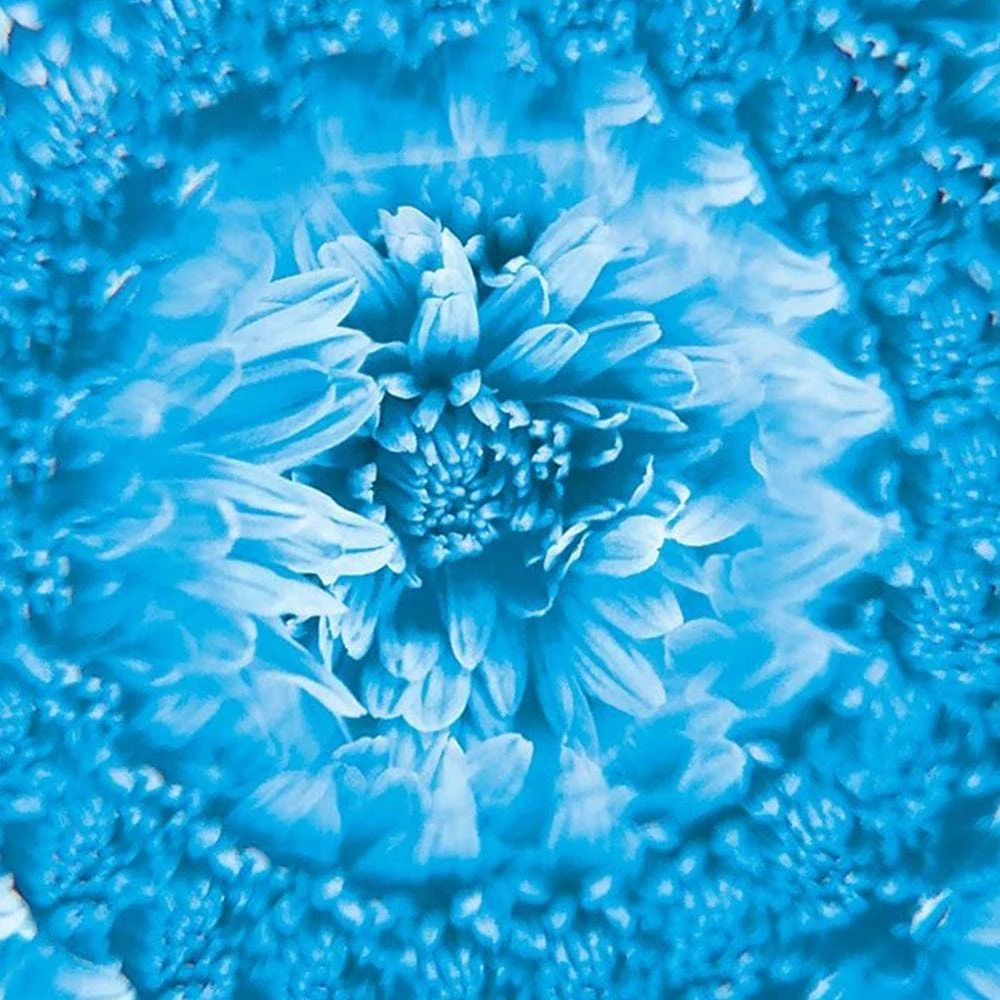 IsAlbi Novelty Gifts For Her Smartphone Clip-on Camera Kaleidoscope 5 IsAlbi Novelty Gifts For Her Smartphone Clip-on Camera Kaleidoscope