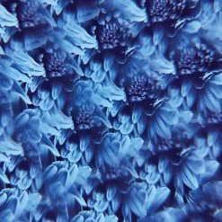 IsAlbi Novelty Gifts For Her Smartphone Clip-on Camera Kaleidoscope 25 IsAlbi Novelty Gifts For Her Smartphone Clip-on Camera Kaleidoscope