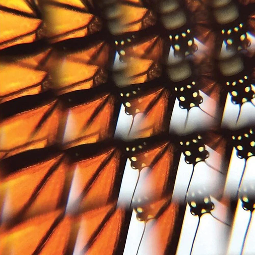 IsAlbi Novelty Gifts For Her Smartphone Clip-on Camera Kaleidoscope 13 IsAlbi Novelty Gifts For Her Smartphone Clip-on Camera Kaleidoscope