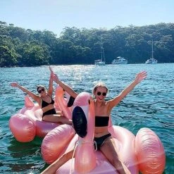 Sunnylife Giant Inflatable Pink Flamingo Float 155cm