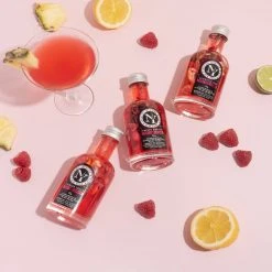 Hot Shots NY Cocktail Vodka Samplers New