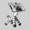 William Valentine New Zebra Adjustable Phone Holder