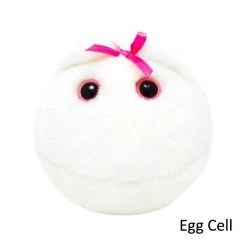 Heebiejeebies Giant Microbes & STDs Plush Toys Giant Products 6 Heebiejeebies Giant Microbes & STDs Plush Toys Giant Products