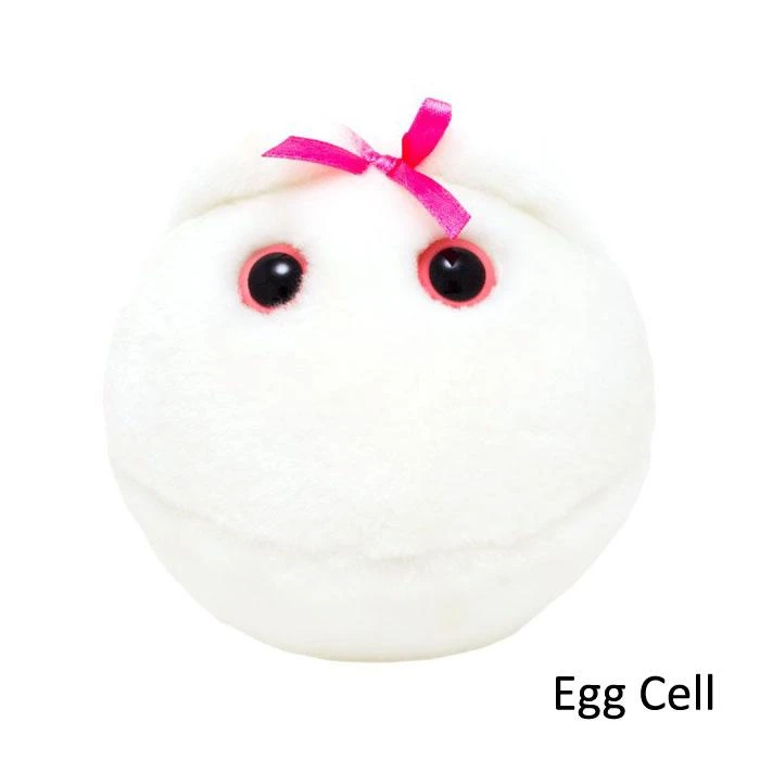 Heebiejeebies Giant Microbes & STDs Plush Toys Giant Products 3 Heebiejeebies Giant Microbes & STDs Plush Toys Giant Products