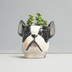 Ceramic Frenchie Planter Pot | White Moose