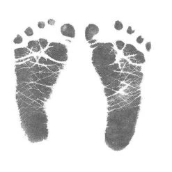 Baby Made My First Year Baby Inkless Print Kit 7 Baby Made My First Year Baby Inkless Print Kit