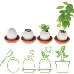 Outliving Eggling Crack & Grow Planter Kit With Tray Sports And Outdoors