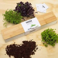 Steady Sticks Micro Herbs Window Sill Planter Box Grow Kit