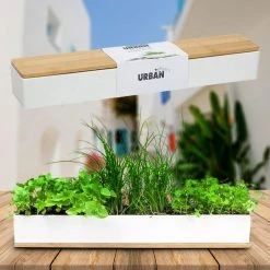 Steady Sticks Micro Herbs Window Sill Planter Box Grow Kit