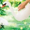 IsAlbi Sports And Outdoors Swan Watering Can