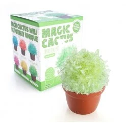 MDI Magical Crystal Cactus Grow Kit