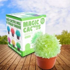 MDI Magical Crystal Cactus Grow Kit