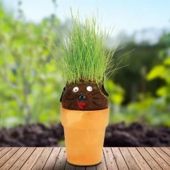 Heebiejeebies Sports And Outdoors Magic Pot Head Plant