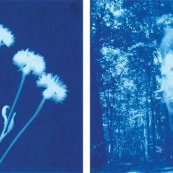 Heebiejeebies Sunprint - Sun Sensitive Art Paper: Create Beautiful Shadow Prints