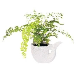 IsAlbi Pearlescent Mermaid Tail Plant Pot Sports And Outdoors