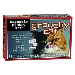 IsAlbi Science STEM Toys Grouchy Cat Fridge Magnet Poetry Kit