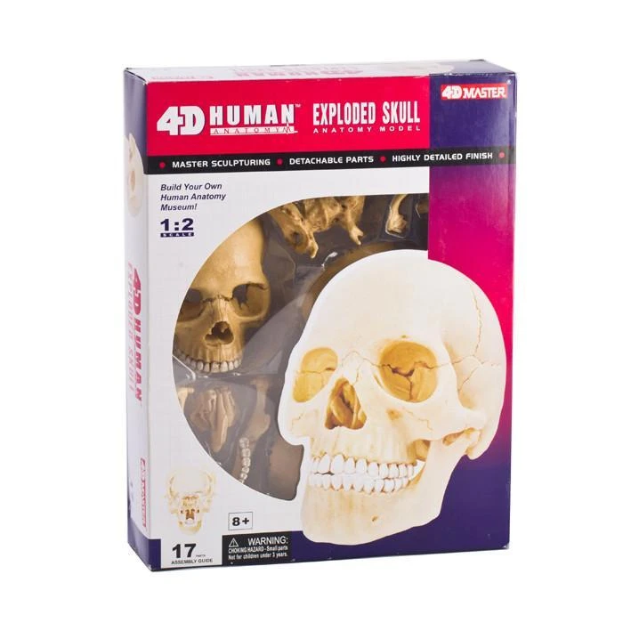 Mdi Human Skull Anatomy Model Puzzle | 4D Science STEM Toys 1 Mdi Human Skull Anatomy Model Puzzle | 4D Science STEM Toys