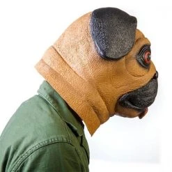 Mdi Dinosaurs Fancy Dress Costume Party Masks - 9 Styles! 72 Mdi Dinosaurs Fancy Dress Costume Party Masks - 9 Styles!