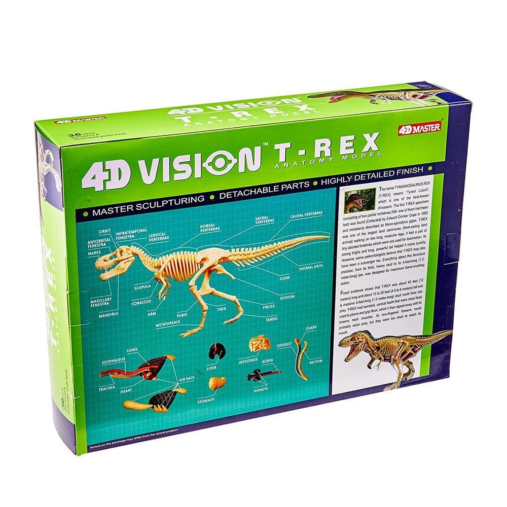 Mdi T-Rex 4D Anatomy Model Science STEM Toys 3 Mdi T-Rex 4D Anatomy Model Science STEM Toys