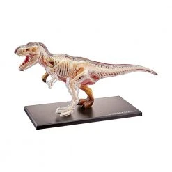 Mdi T-Rex 4D Anatomy Model Science STEM Toys 7 Mdi T-Rex 4D Anatomy Model Science STEM Toys