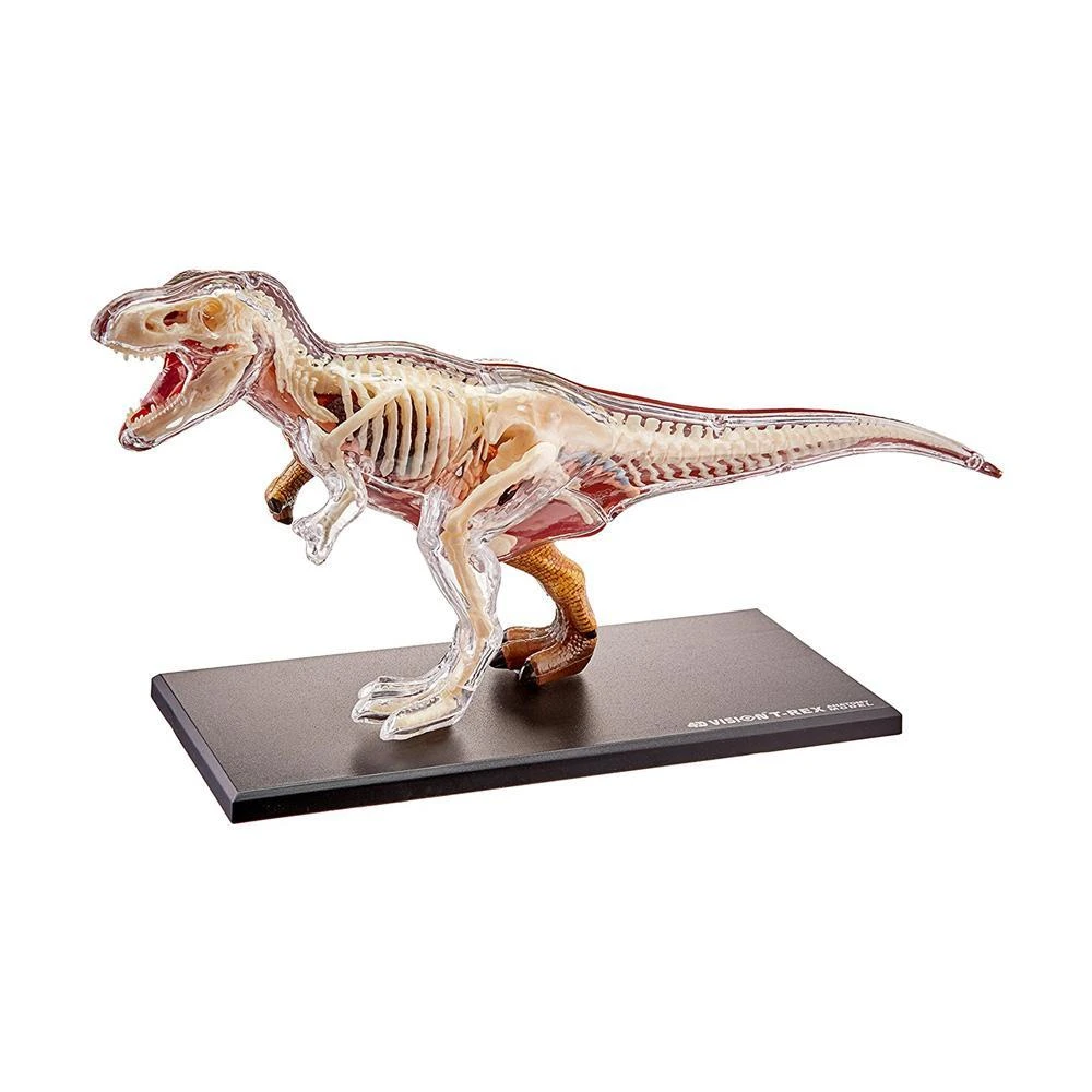 Mdi T-Rex 4D Anatomy Model Science STEM Toys 4 Mdi T-Rex 4D Anatomy Model Science STEM Toys