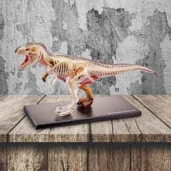 Mdi T-Rex 4D Anatomy Model Science STEM Toys
