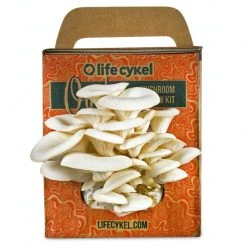 Lifecykel Mens Novelty Gifts Oyster Mushroom Grow Kit