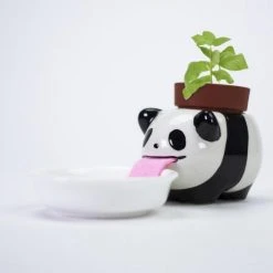 Outliving Sports And Outdoors Self-Watering Drinking Animal Planters