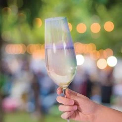 IsAlbi Giant Products Iridescent Oversized Wine & Champagne Glasses 750ml