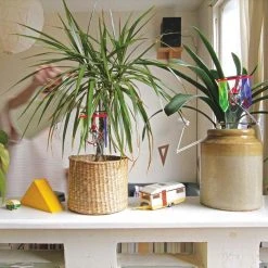 UNTIL Science STEM Toys DIY Thirsty Plant Kit